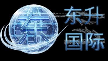 东升国际官网Logo